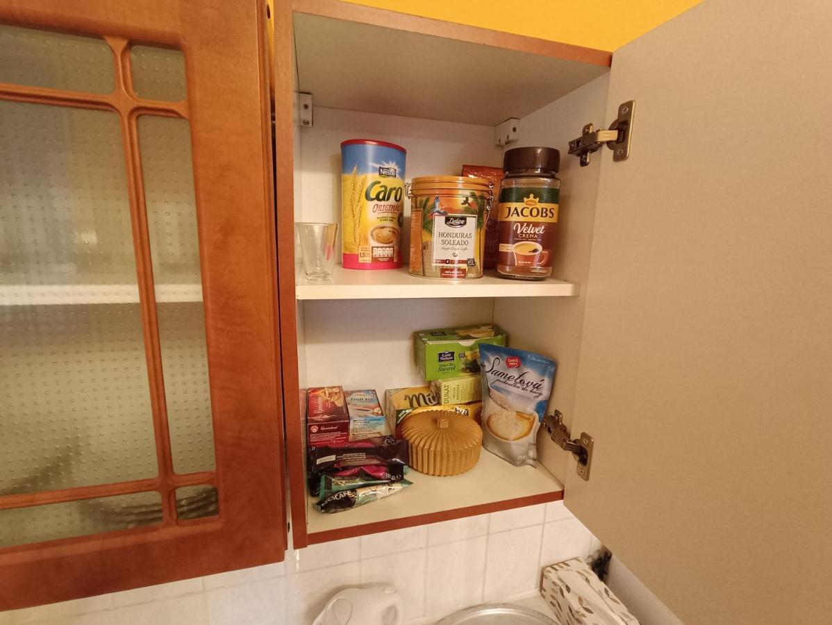 Apartman Horni Slavkov Hodinarstvi Екстериор снимка