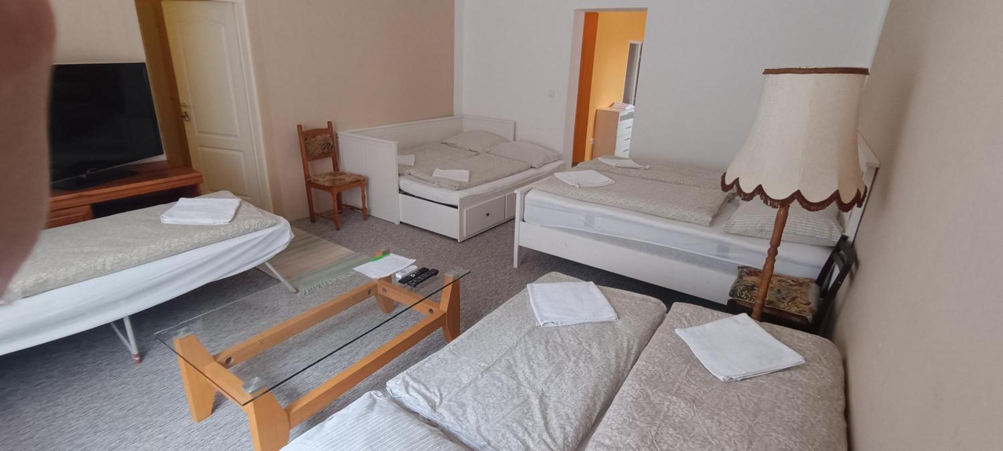 Apartman Horni Slavkov Hodinarstvi Екстериор снимка